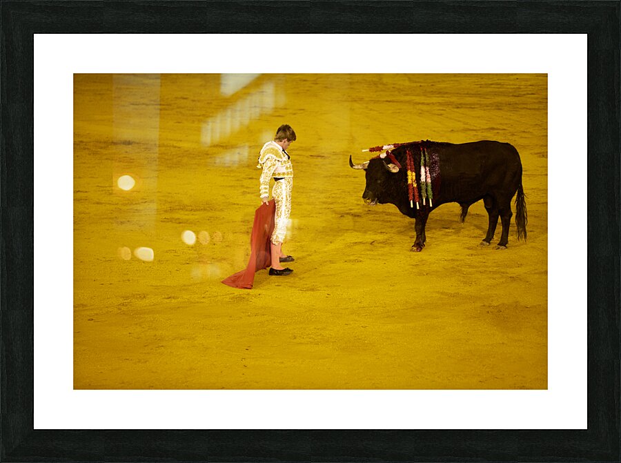 ANDALUSIA SPAIN. Bullfight in Seville Arena Picture Frame print