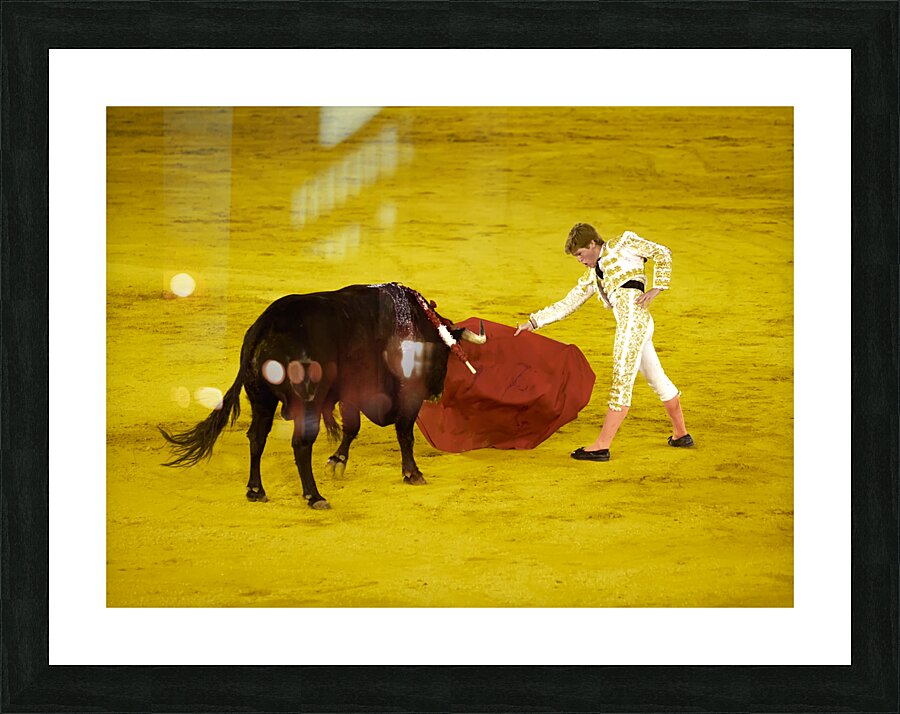 ANDALUSIA SPAIN. Bullfight in Seville Arena Picture Frame print