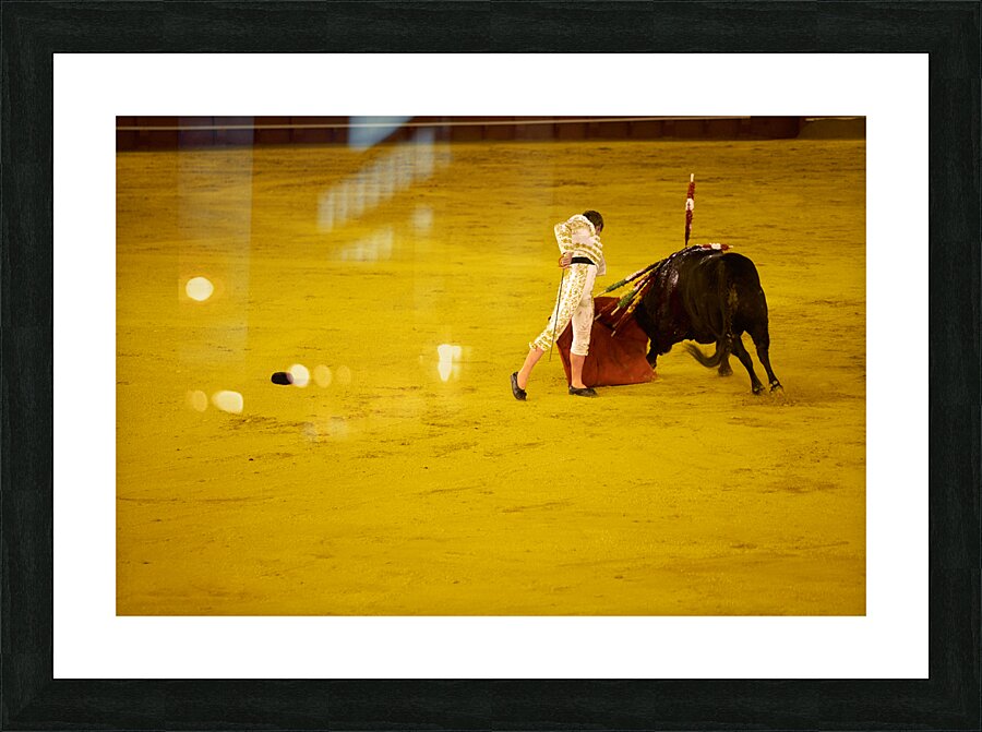 ANDALUSIA SPAIN. Bullfight in Seville Arena Picture Frame print