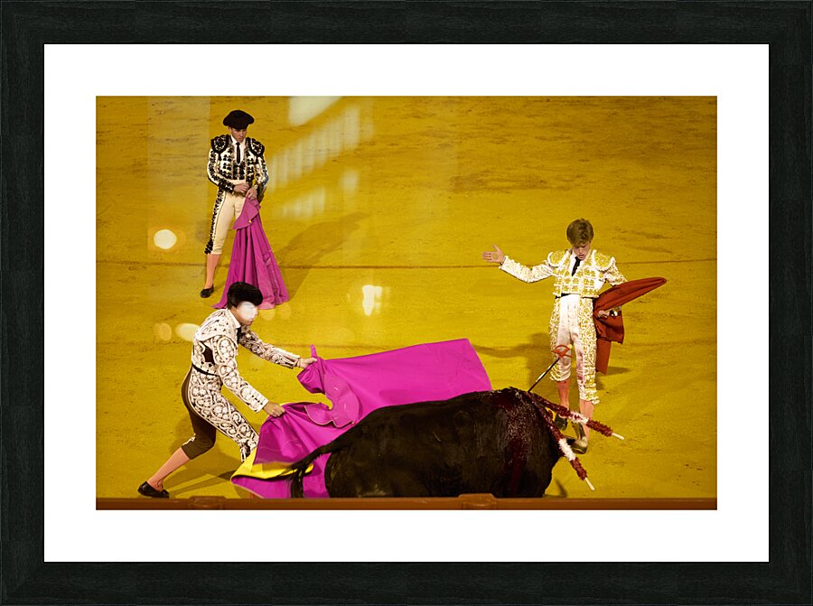 ANDALUSIA SPAIN. Bullfight in Seville Arena Picture Frame print
