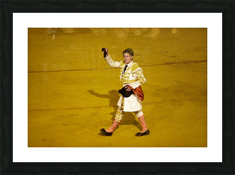 ANDALUSIA SPAIN. Bullfight in Seville Arena Picture Frame print