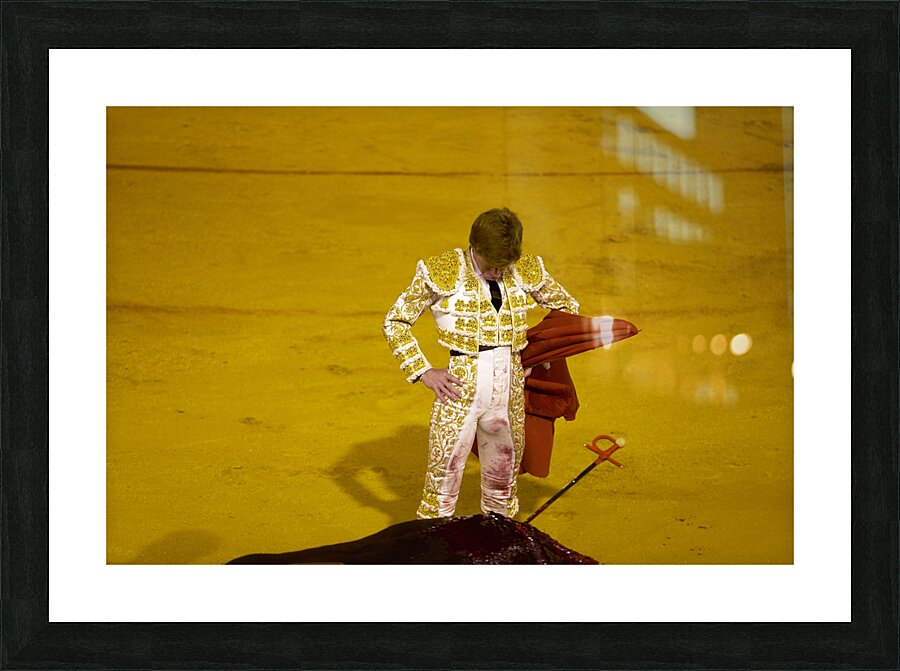 ANDALUSIA SPAIN. Bullfight in Seville Arena Picture Frame print