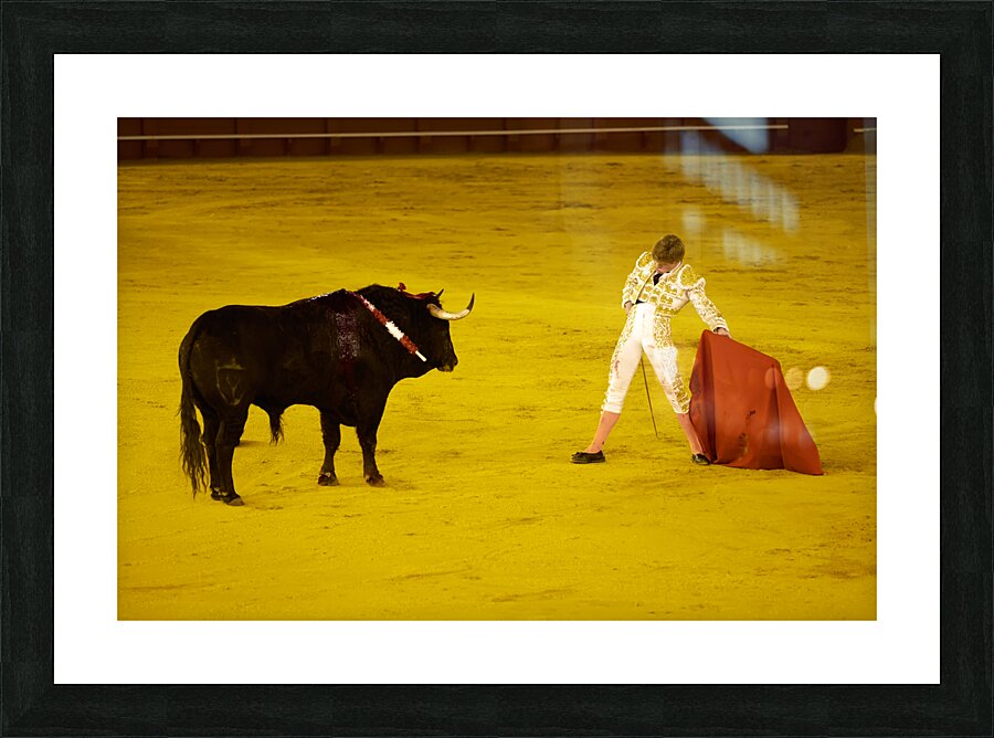 ANDALUSIA SPAIN. Bullfight in Seville Arena Picture Frame print