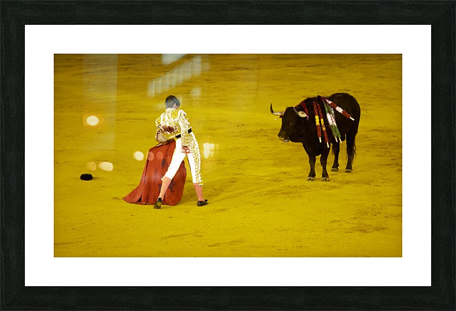 ANDALUSIA SPAIN. Bullfight in Seville Arena Picture Frame print