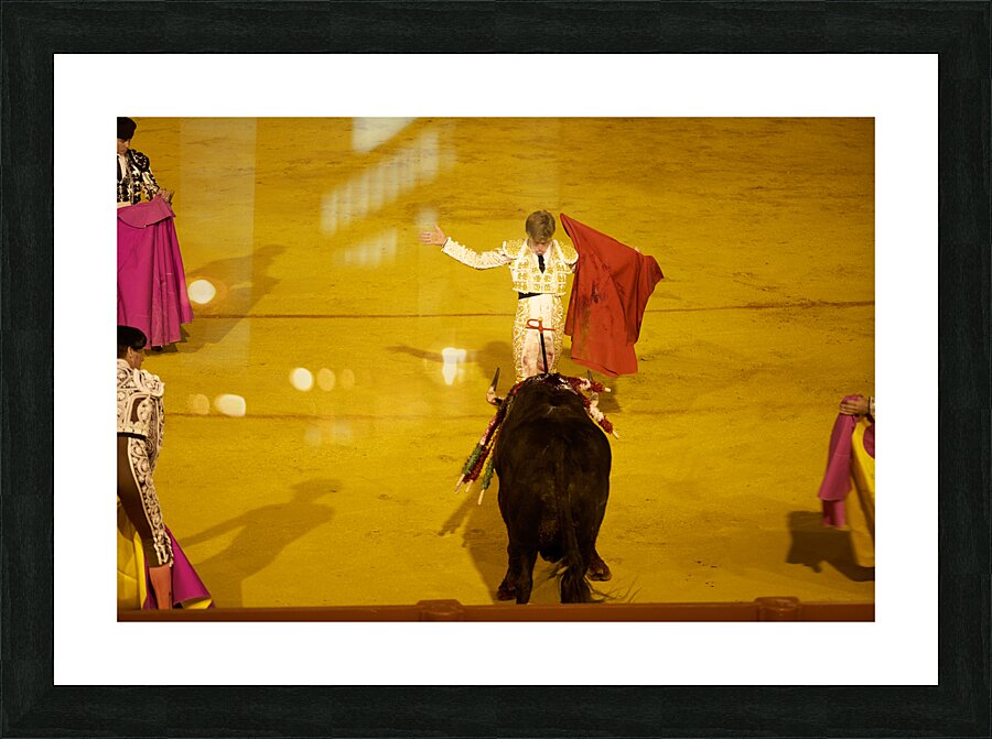 ANDALUSIA SPAIN. Bullfight in Seville Arena Picture Frame print