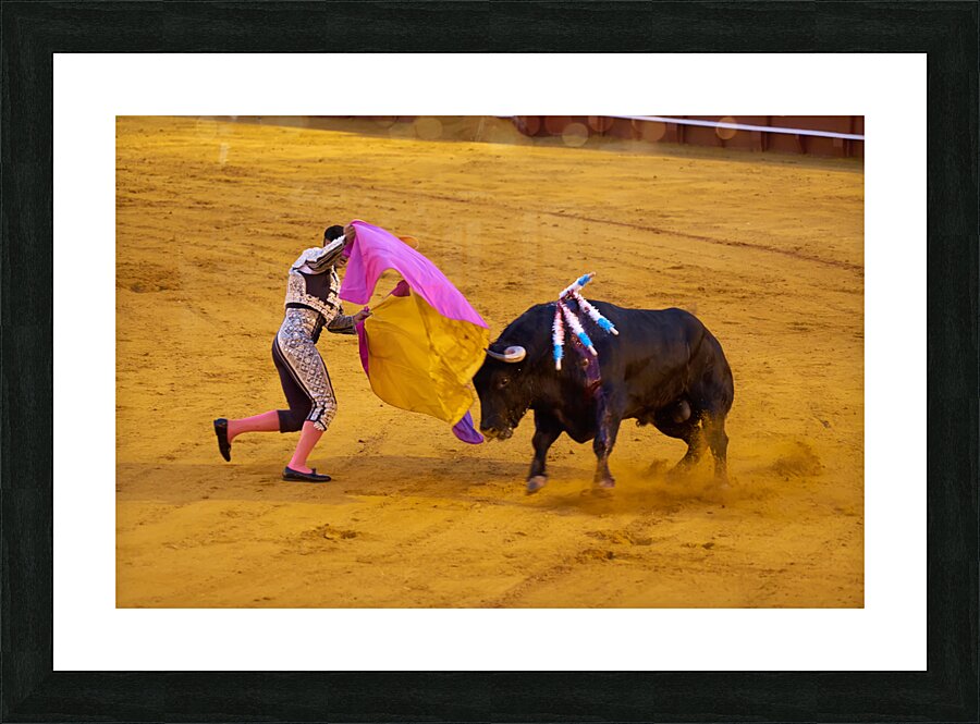 ANDALUSIA SPAIN. Bullfight in Seville Arena Picture Frame print
