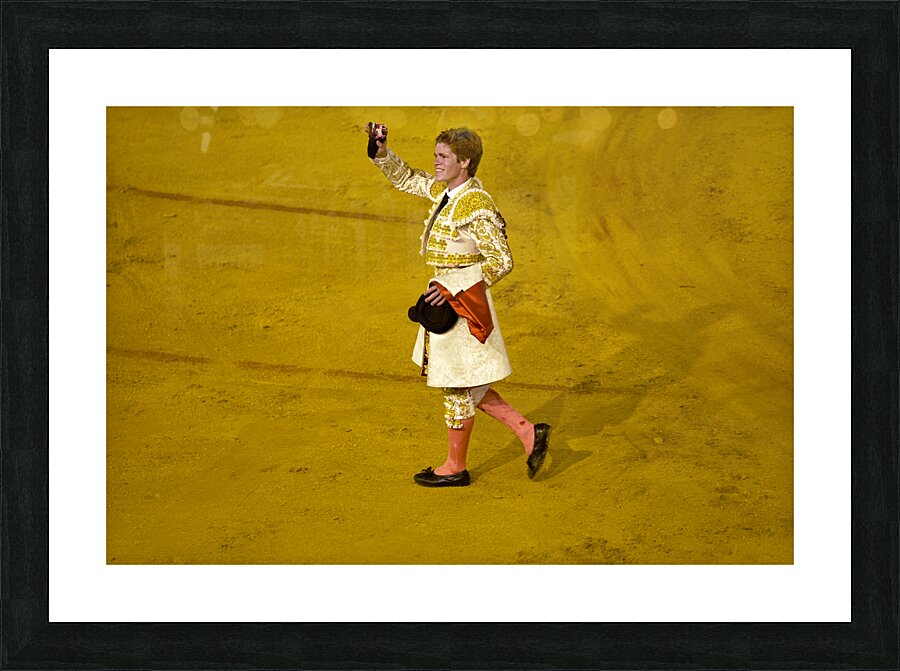 ANDALUSIA SPAIN. Bullfight in Seville Arena Picture Frame print