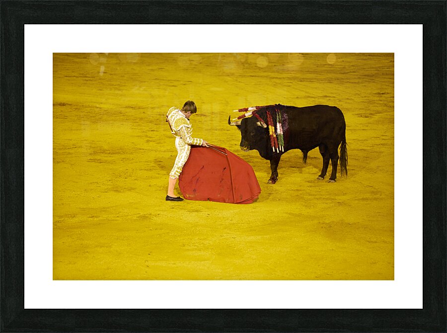 ANDALUSIA SPAIN. Bullfight in Seville Arena Picture Frame print