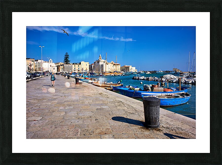 Apulia Puglia Italy. Trani. The seaport Picture Frame print