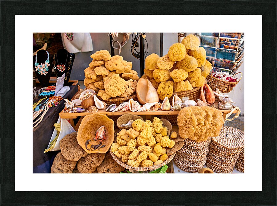 Salento. Apulia Puglia Italy. Gallipoli. Natural sea sponges Picture Frame print