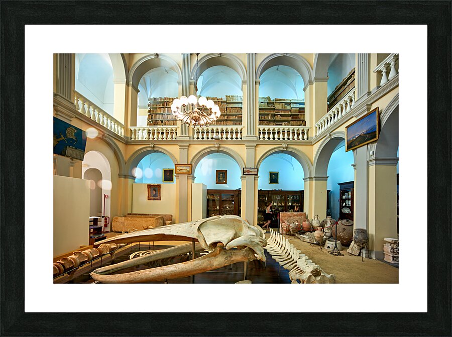 Salento. Apulia Puglia Italy. Gallipoli. Civic Museum Emanuele Barba Picture Frame print