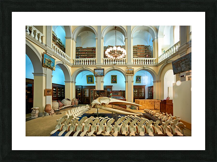 Salento. Apulia Puglia Italy. Gallipoli. Civic Museum Emanuele Barba Picture Frame print