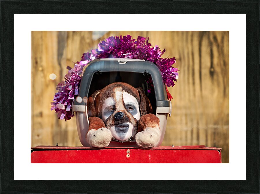 Venice Italy. The Carnival Picture Frame print
