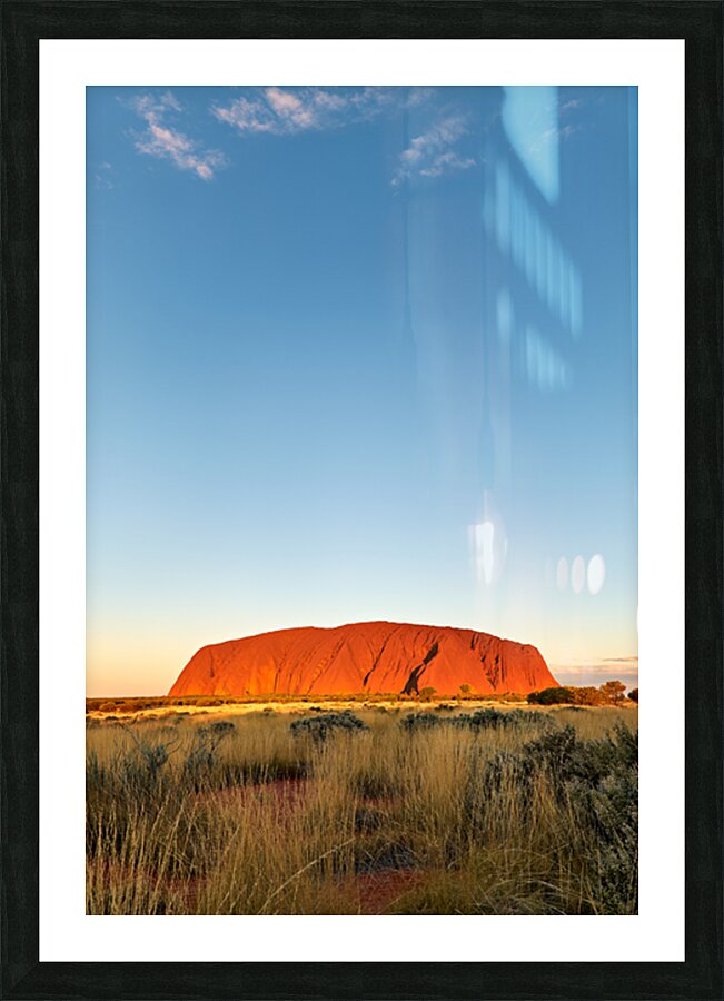 Uluru bathed in golden sunset light Australia. Picture Frame print
