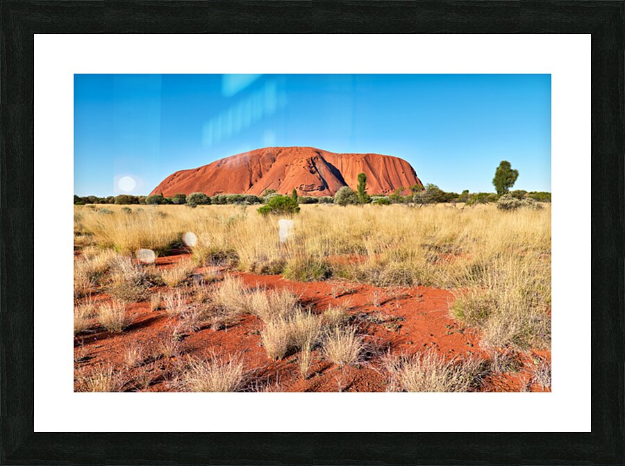 Uluru Australias iconic sandstone monolith under a clear blue Picture Frame print