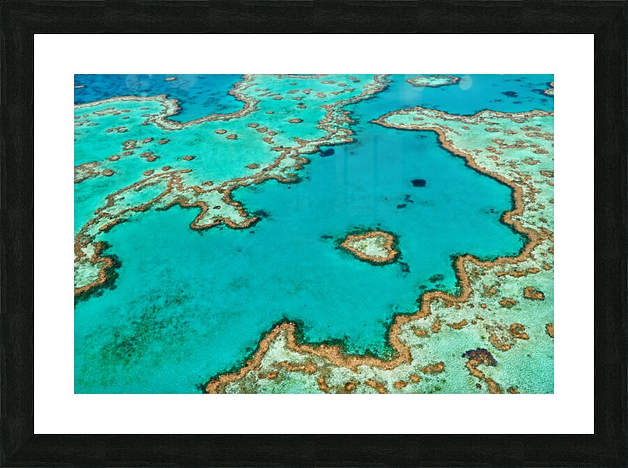 Aerial view of Heart Reef Great Barrier Reef Australia. Picture Frame print