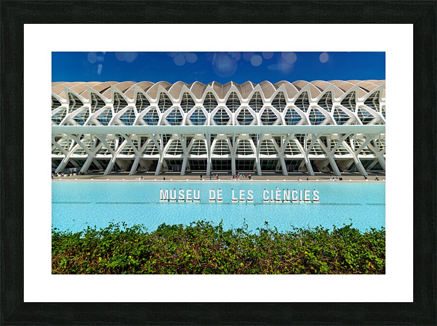 Visit Museu de les Sciences Principe Felipe in Valencia Spain Picture Frame print