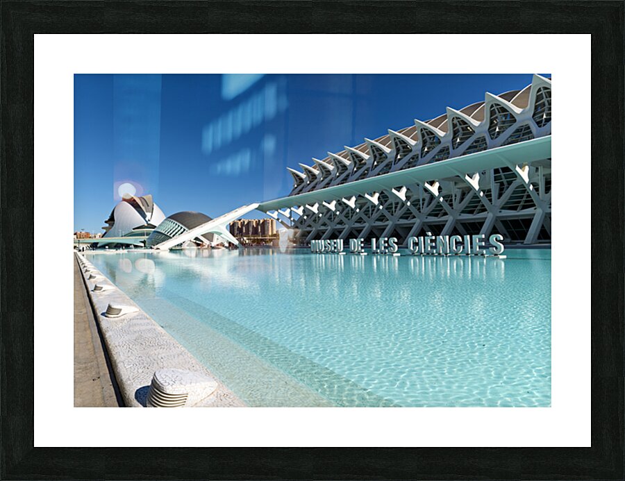 Visit to Museu de les Ciencies Principe Felipe in Valencia Spain Picture Frame print