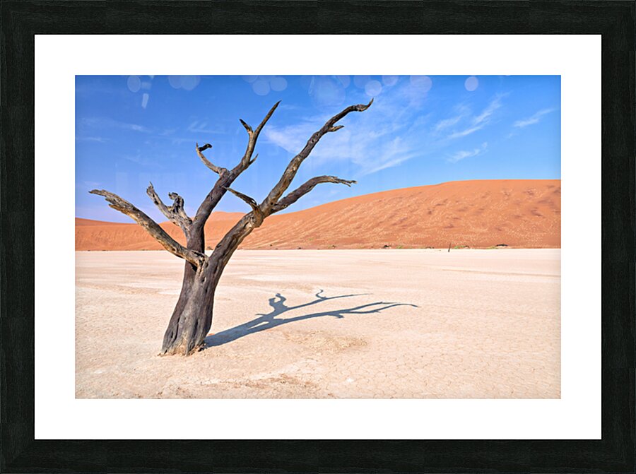 Dry camel thorn tree in Deadvlei clay pan of Namibia Picture Frame print