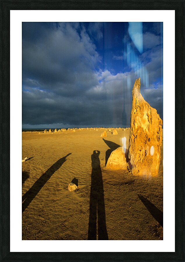 Photographers shadow falls on the Pinnacles desert at sunset. Picture Frame print
