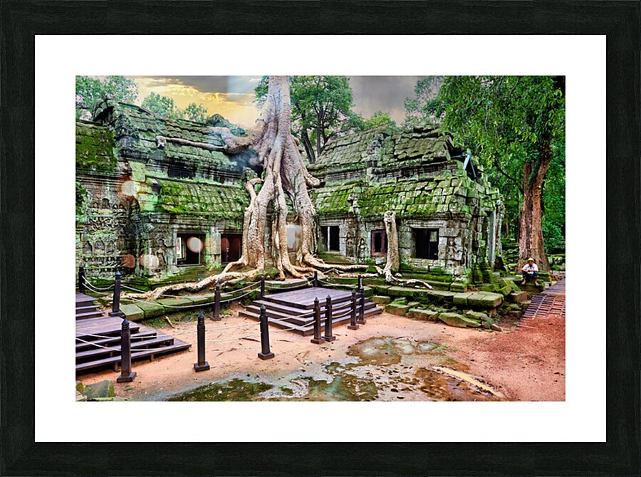 Ancient temple ruins overgrown by massive tree roots and moss. Picture Frame print