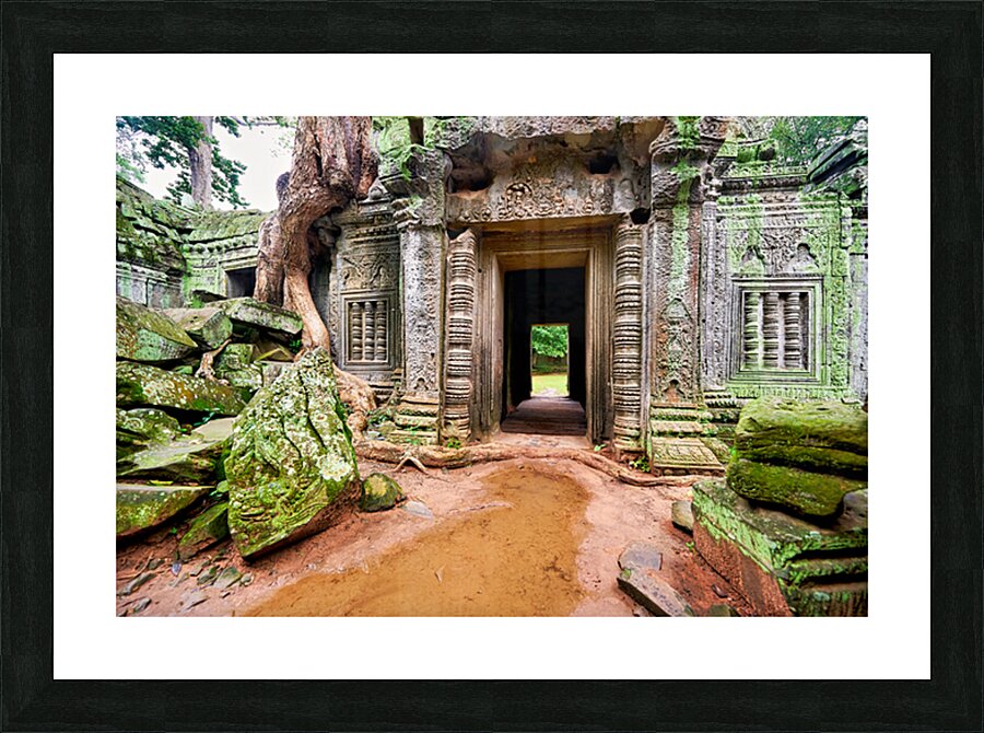 Ancient temple ruins overgrown by trees and moss. Picture Frame print