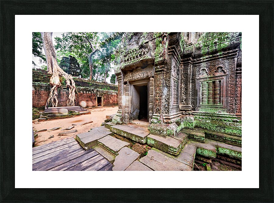 Angkor temple ruins consumed by nature. Picture Frame print