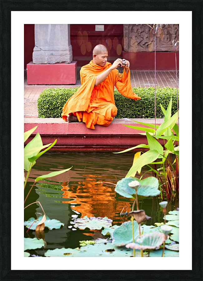 Monk in orange robes takes photo by a lotus pond. Picture Frame print