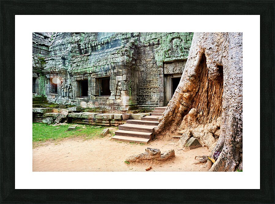 Ancient temple ruins intertwined with giant tree. Picture Frame print