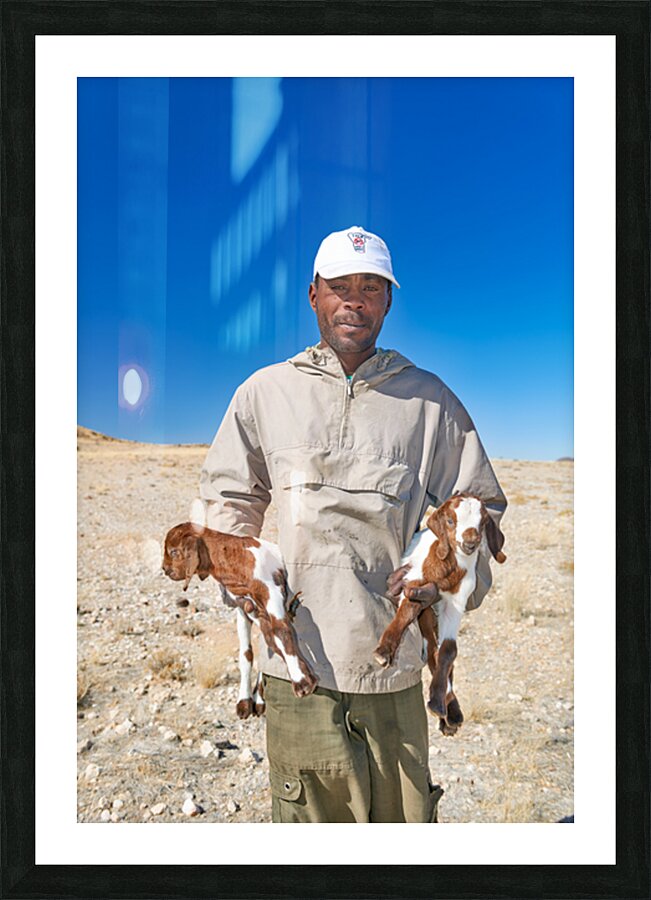 Shepherd holds his young goats in Namibia under bright blue sky Picture Frame print