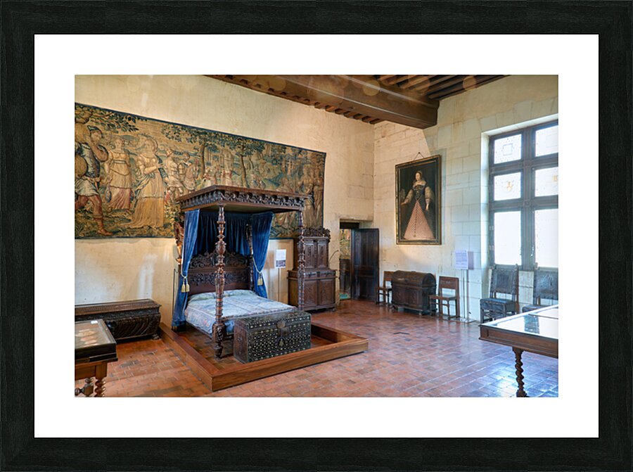 Exploring the interior of Chateau de Chaumont sur Loire in Franc Picture Frame print