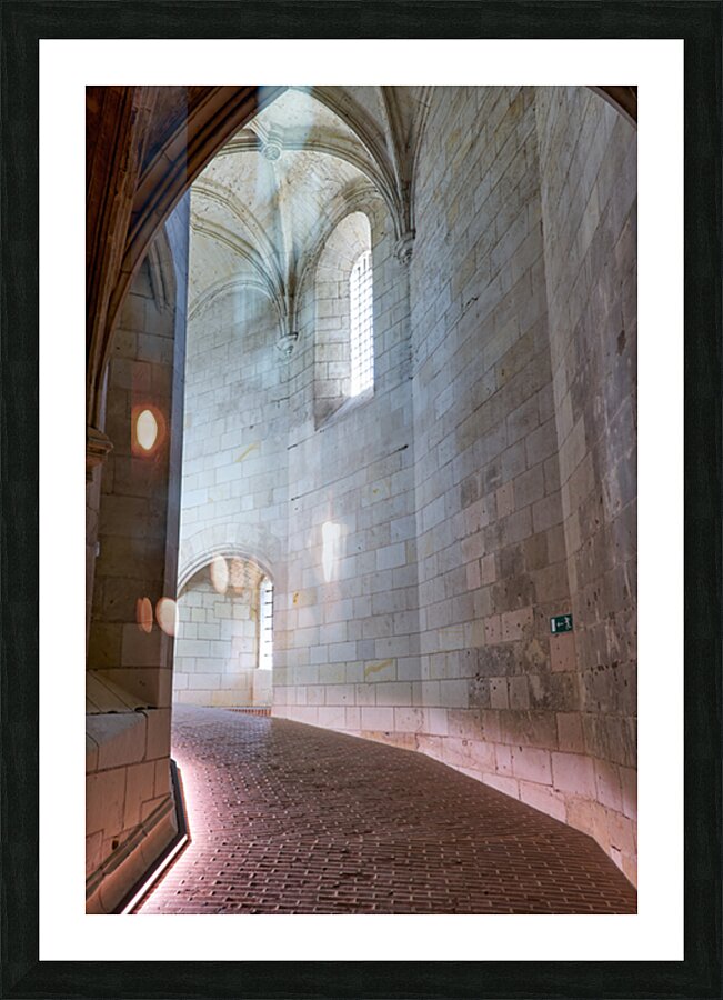 Chateau dAmboise offers views of historic architecture in Franc Picture Frame print