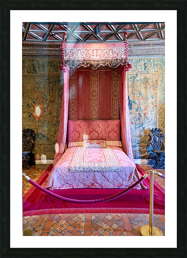 Visit to the historic bedroom of Chateau de Chenonceau in France Picture Frame print