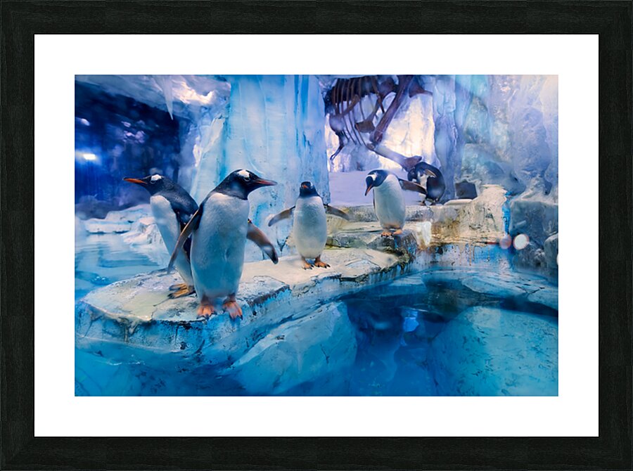 Penguins play on ice near water with a skeleton exhibit in Dubai Picture Frame print