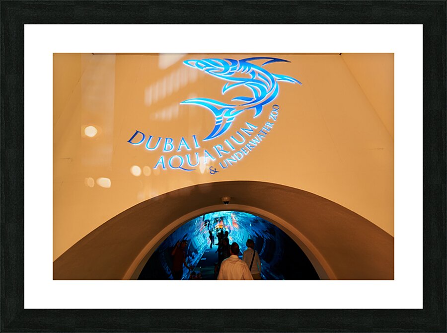 Entrance to Dubai Aquarium Underwater Zoo with glowing shark sig Picture Frame print