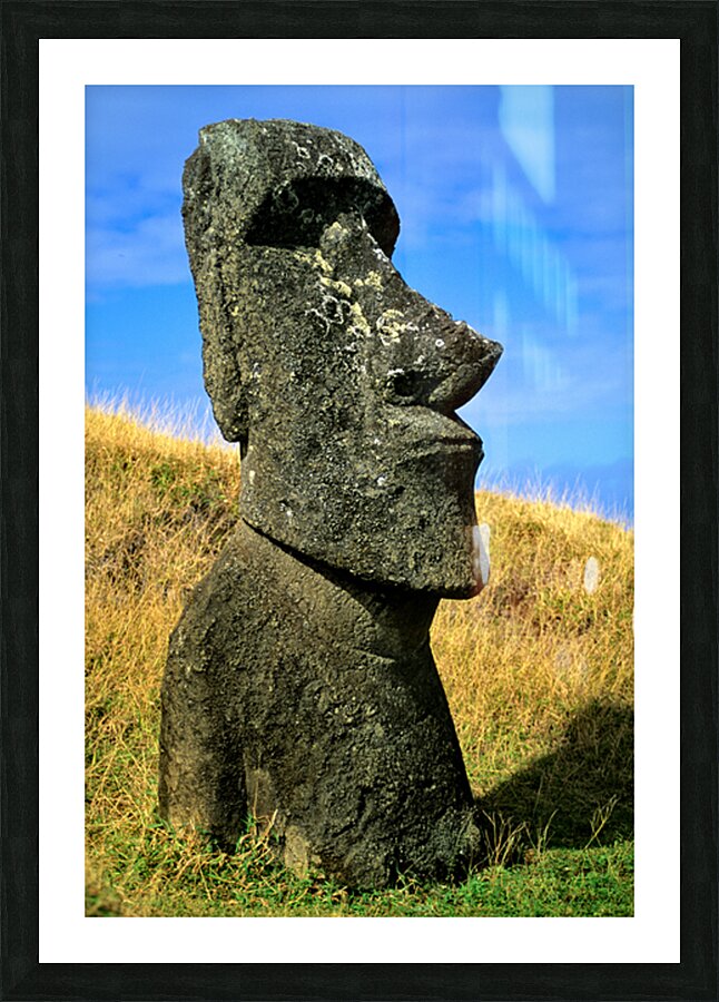Iconic Moai statue stands tall on Easter Island. Picture Frame print