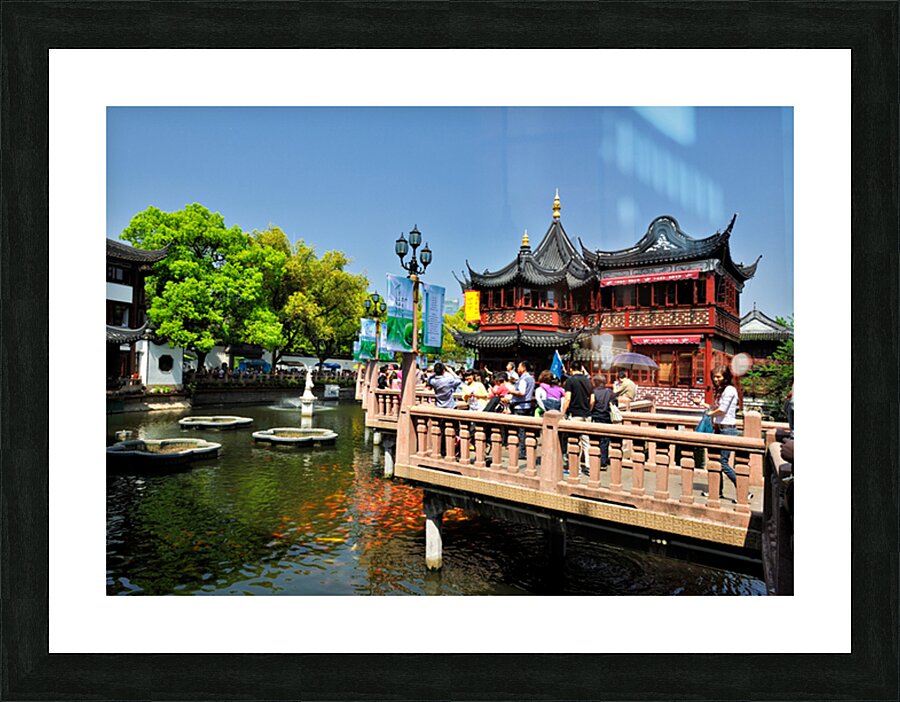 Vibrant Chinese garden with koi pond and visitors in Shanghai Picture Frame print