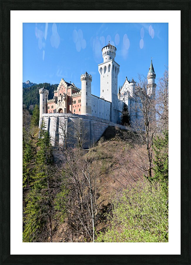 Visit Neuschwanstein Castle along the Romantic Road in Bavaria G Picture Frame print