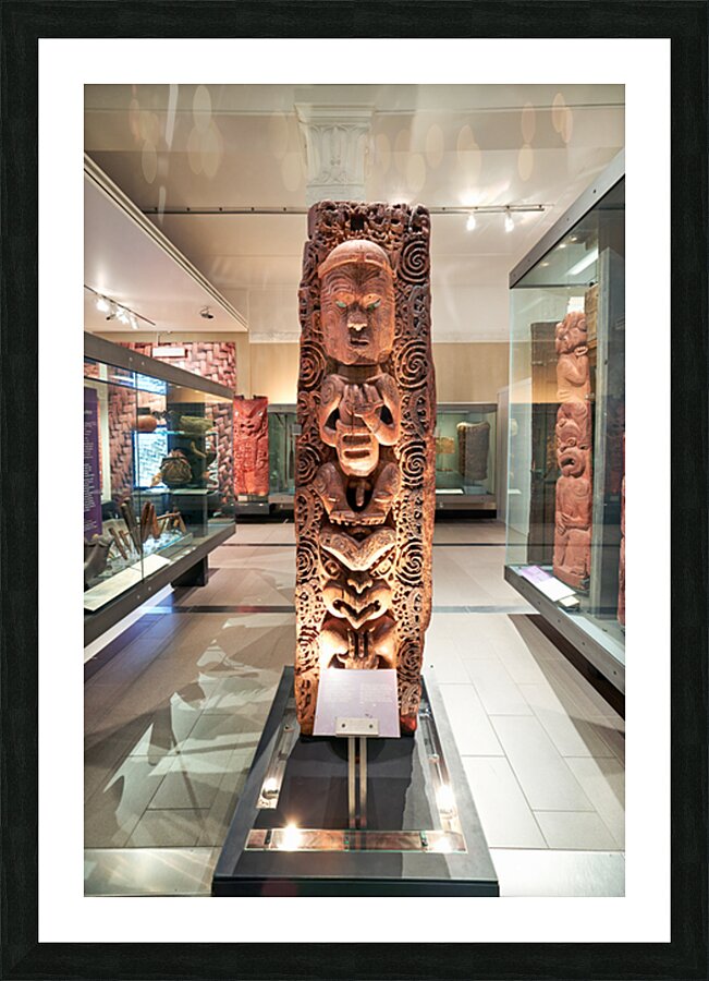 Visit to maori natural history gallery in auckland war memorial  Picture Frame print