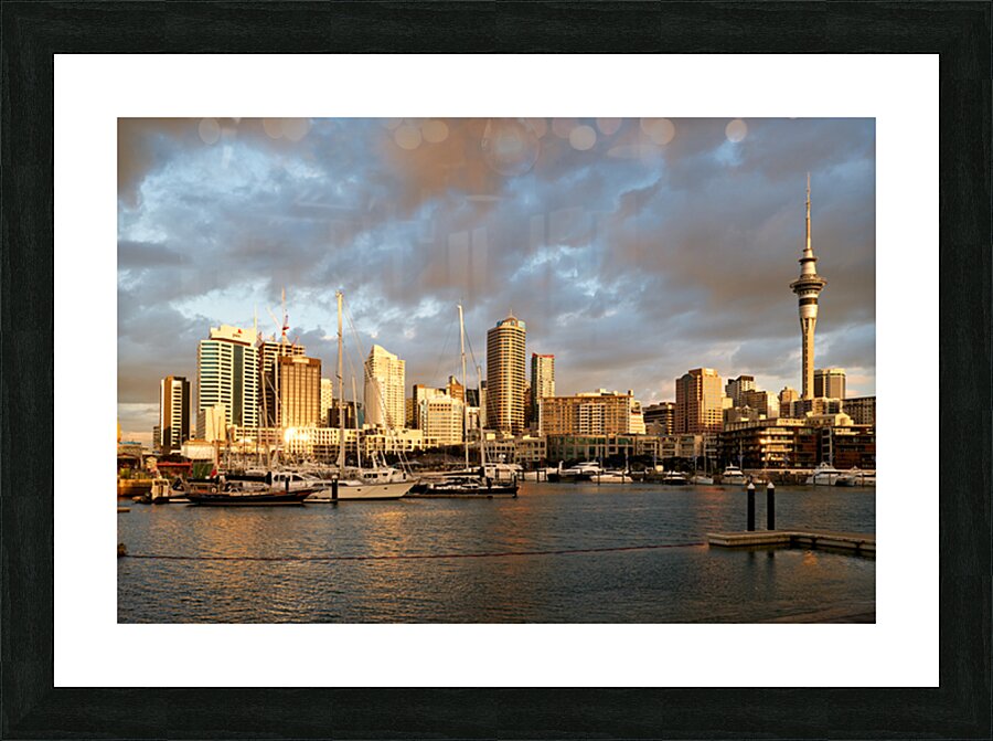 Auckland skyline at sunset from Viaduct Harbour Picture Frame print