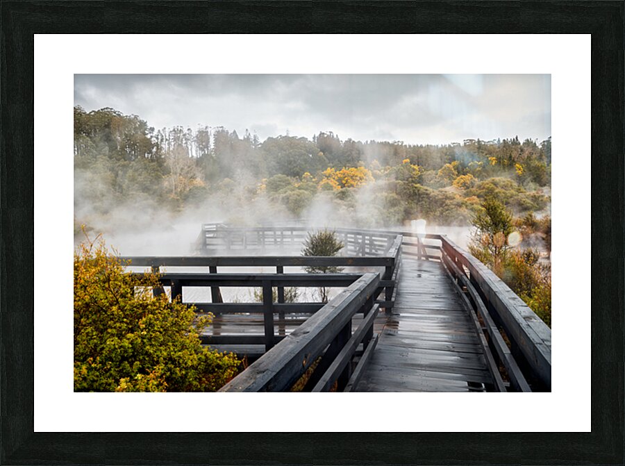 Discover geothermal trails in Whakarewarewa Rotorua Picture Frame print