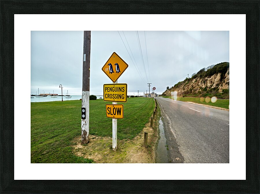 Penguin crossing sign alerts wildlife in Oamaru NZ Picture Frame print