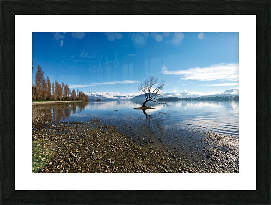 Wanaka Tree in Lake Wanaka on a clear day Otago Picture Frame print