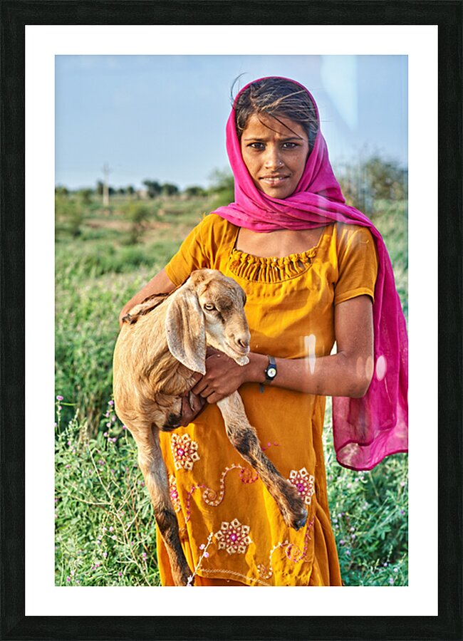 Girl holds goat in Khimsar Rajasthan India during sunny day Picture Frame print
