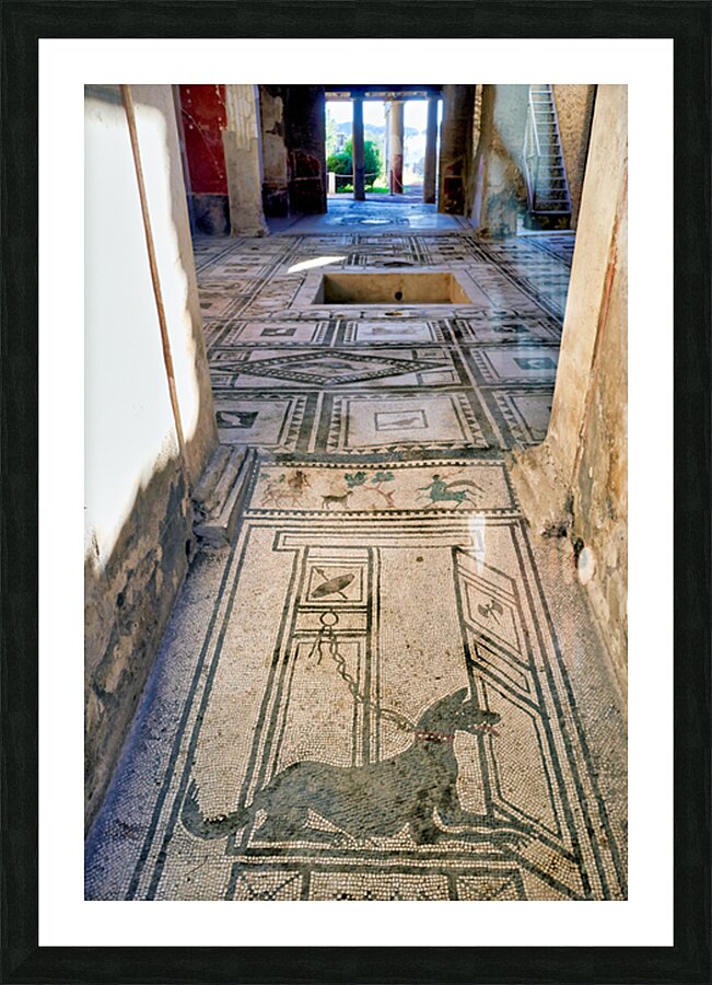 Mosaic floor in Pompeii reveals Roman art and ancient history Picture Frame print