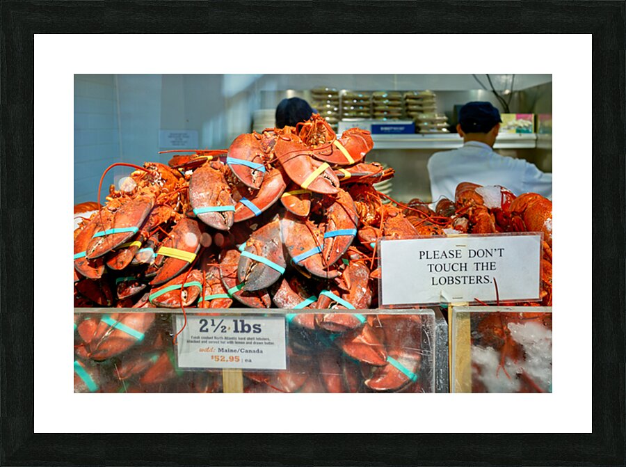 Lobsters are piled high at the Lobster Place Restaurant Picture Frame print