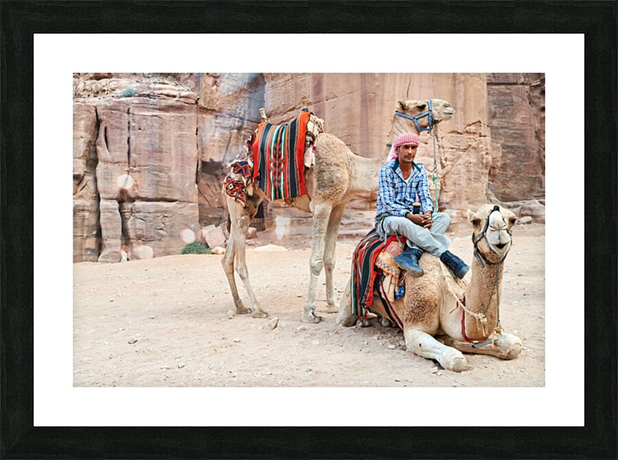 Camels wait for tourists at Petra archaeological site in Jordan Picture Frame print