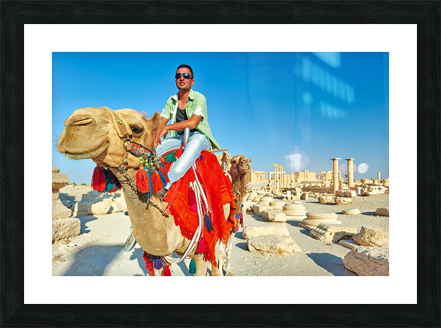 Camel driver in ancient Palmyra leading a tourist ride Picture Frame print