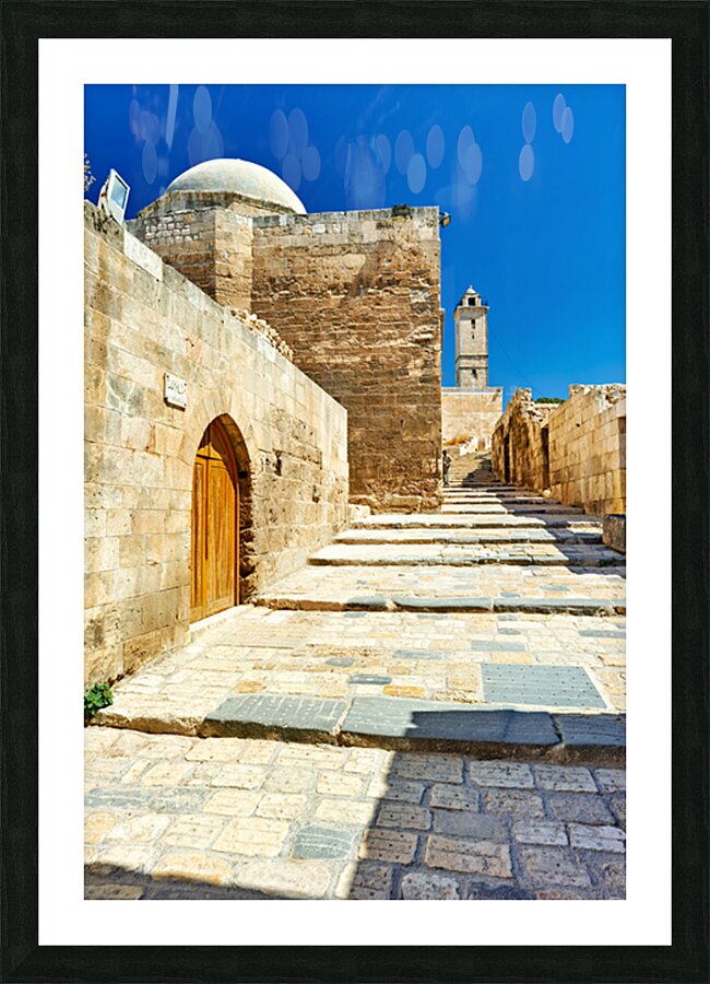 Explore the ancient paths leading up to Aleppo Citadel in Syria Picture Frame print