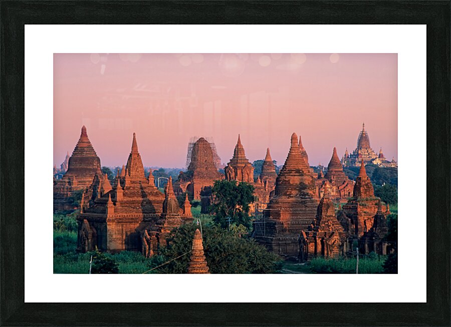 Temples in Bagan at dusk with a clear sky over Myanmar Picture Frame print